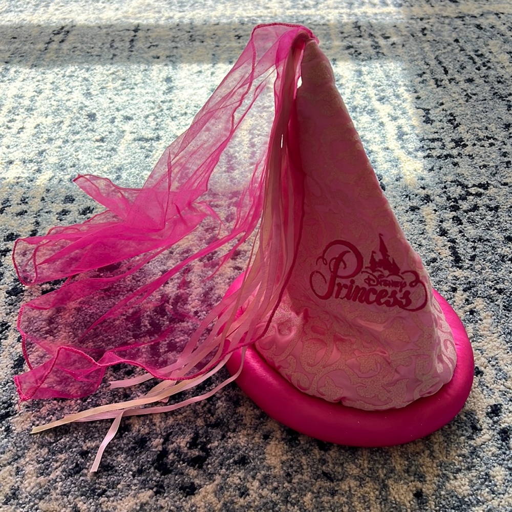 Disney Princess Hat